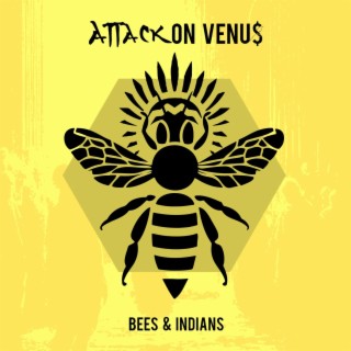Bees & Indians lyrics | Boomplay Music