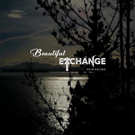 Beautiful Exchange | Boomplay Music