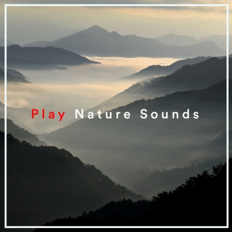 Rainfall ft. Rain Sounds & Rain Sounds & Nature Sounds