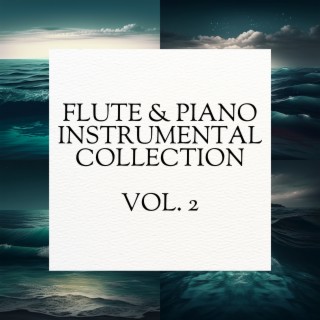 Flute & Piano Instrumental Collection, Vol. 2