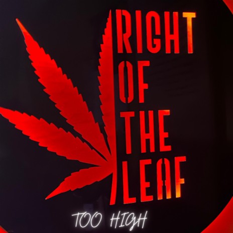 TOO HIGH ft. Right Of The Leaf | Boomplay Music