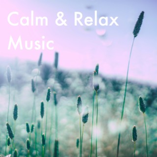 Calm and Relax Music