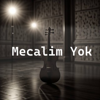 Mecalim Yok