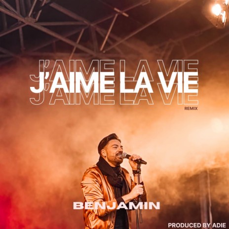 J'AIME LA VIE (RMX) | Boomplay Music
