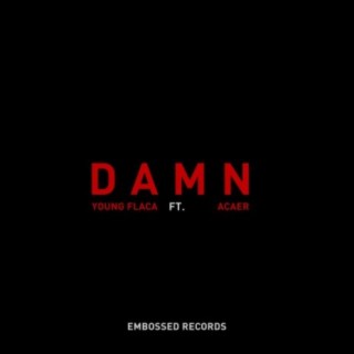 DAMN (feat. Acaer)