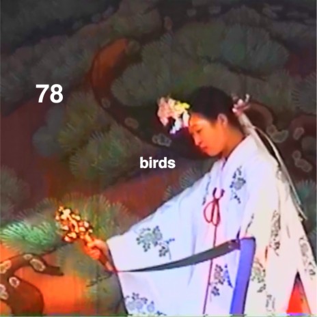 78 Birds | Boomplay Music