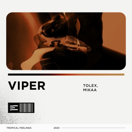 Viper ft. Mikaa | Boomplay Music