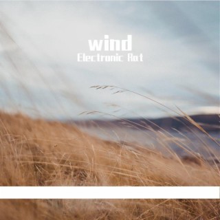 wind