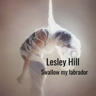 Swallow My Labrador