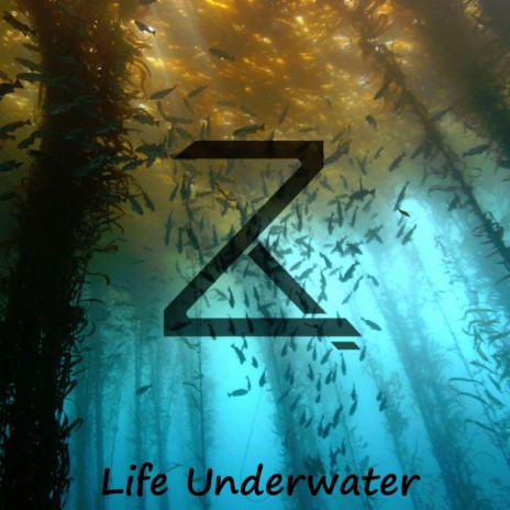 Life Underwater | Boomplay Music