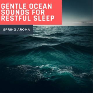 Gentle Ocean Sounds for Restful Sleep (Music on Flute and Piano)