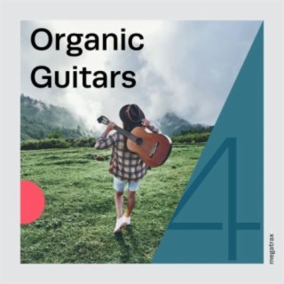 Organic Guitars, Vol. 4