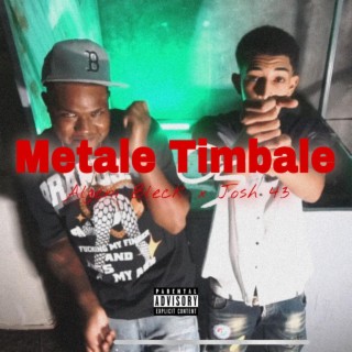 Metale Timbale