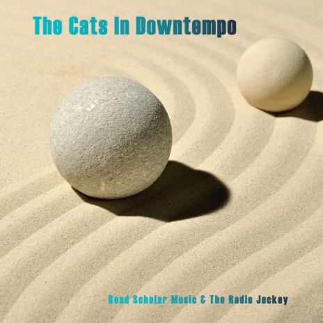 The Cats In Downtempo ft. The Radio Jockey