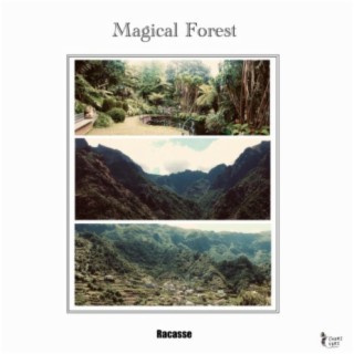 Magical Forest