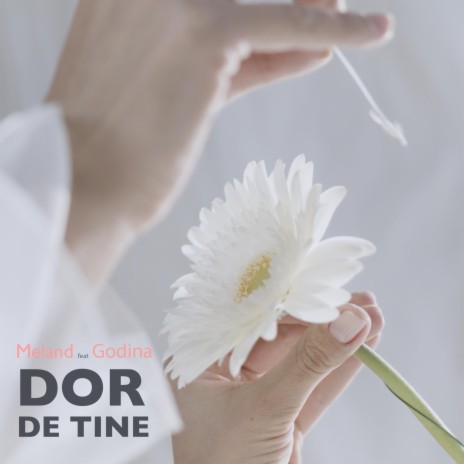 Dor De Tine (feat. Godina & Tinna) | Boomplay Music