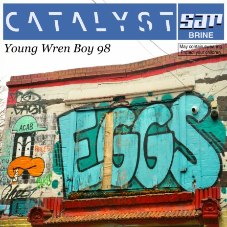 Young Wren Boy 98 | Boomplay Music