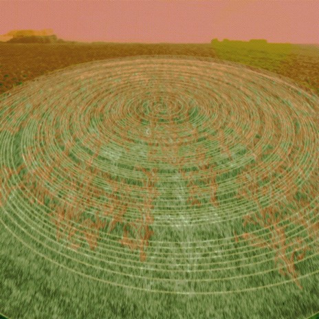 Crop Circles