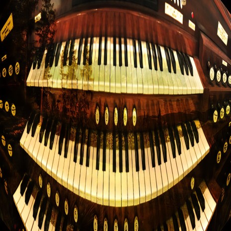 Organ Donor (And His Gummiband) | Boomplay Music
