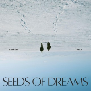 Seeds of Dreams ft. noeharm lyrics | Boomplay Music