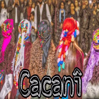 Kurdish halay_cacani