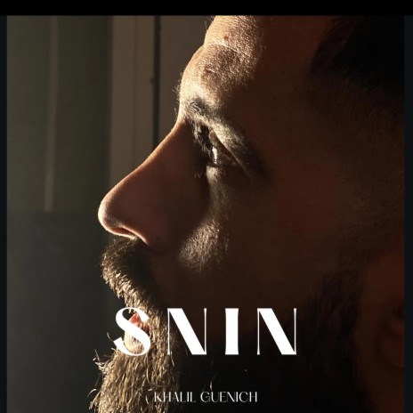 snin | Boomplay Music