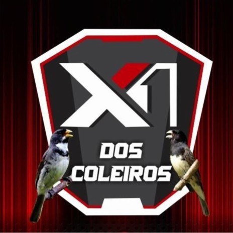 X1 dos Coleiros | Boomplay Music