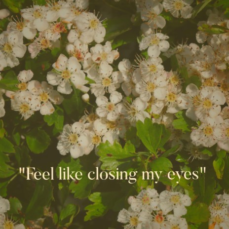 Feel Like Closing My Eyes | Boomplay Music