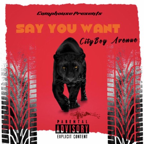 Say You Want | Boomplay Music