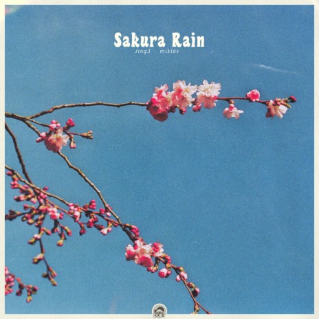 Sakura Rain ft. miklós | Boomplay Music
