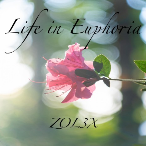 Life in Euphoria | Boomplay Music