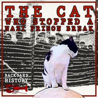 The Cat Who Stopped a Nazi Prison Break