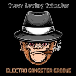 Electro Gangster Groove