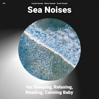 #01 Sea Noises for Sleeping, Relaxing, Reading, Calming Baby