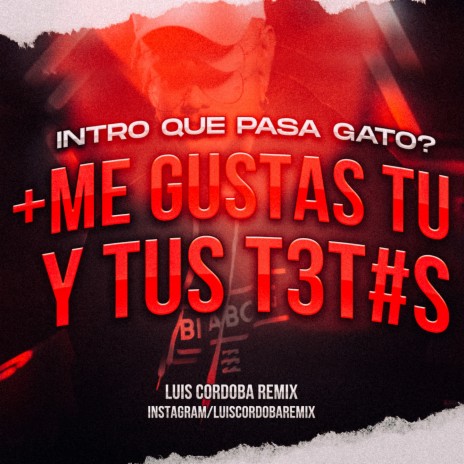 Intro Que Te Pasa Gato + Me Gustas Tu Y Tus Tet#s | Boomplay Music