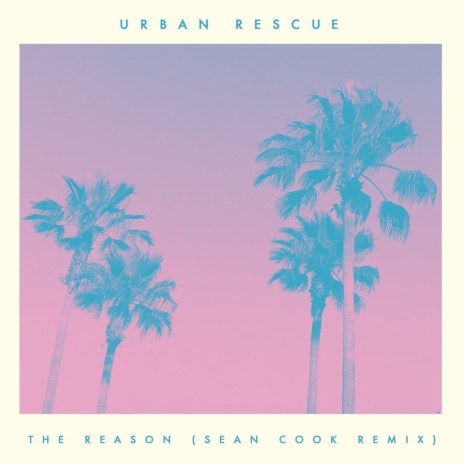 The Reason (Sean Cook Remix)