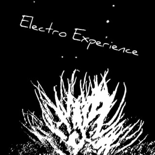 Electro Experience