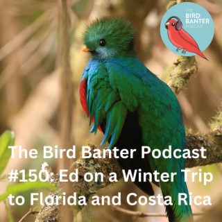 The Bird Banter Podcast #150: Ed on a Winter Trip to Florida and Costa Rica