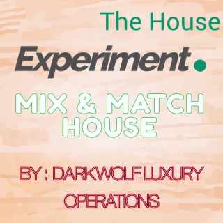 The House Experiment Mix & Match House