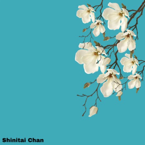 Shinitai Chan | Boomplay Music