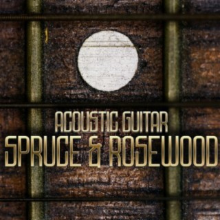 Spruce & Redwood: Acoustic Guitar