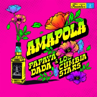 Amapola