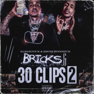 BRICKS & 30 CLIPS 2