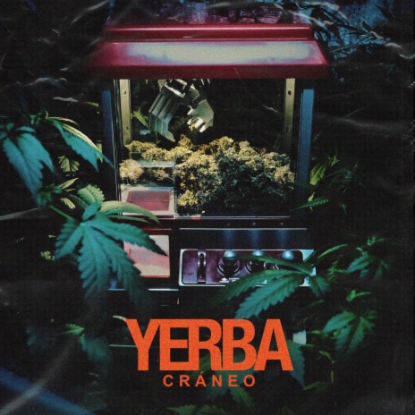 YERBA | Boomplay Music