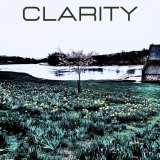 Clarity