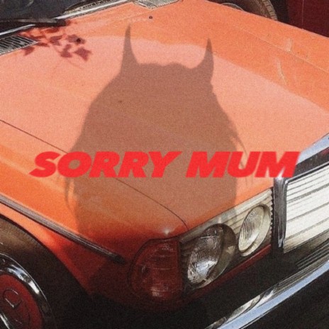 Sorry Mum | Boomplay Music