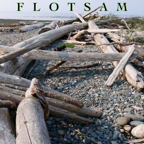 Flotsam | Boomplay Music