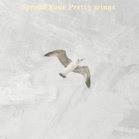 Spread your pretty wings | Boomplay Music