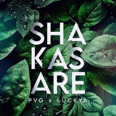 Shakasare ft. Luckya | Boomplay Music