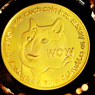 DOGE IS GOING TO THE MOON